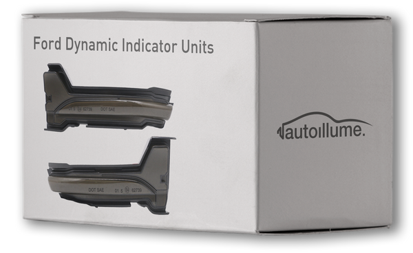 Ford Focus Dynamic Indicators