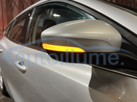 Ford Focus Dynamic Indicators