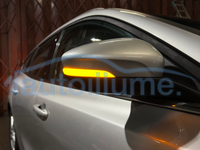 Ford Focus Dynamic Indicators