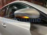 Ford Focus Dynamic Indicators